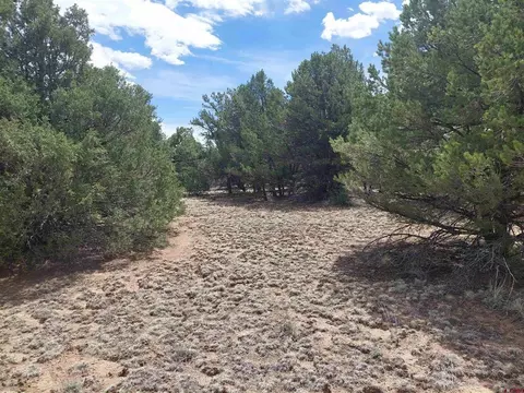 tbd Q Path And M Path, Cotopaxi, CO 81223 photo 9