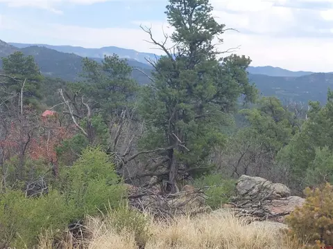 tbd Q Path And M Path, Cotopaxi, CO 81223 photo 16
