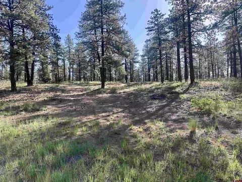 782 Hawks Meadow Dr, Bayfield, CO 81122