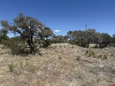 0 Kiowa Trl, South Fork, CO 81154