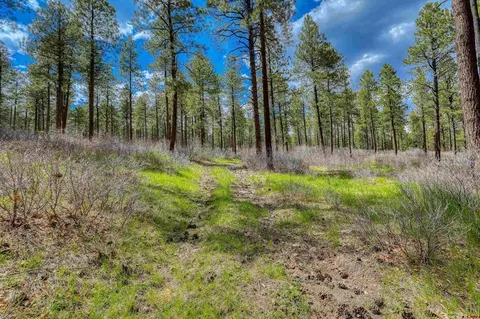 X Hidden Valley Drive, Pagosa Springs, CO 81147