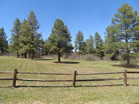 393 Martinez Pl, Pagosa Springs, CO 81147