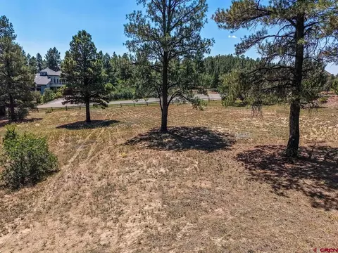393 Martinez Pl, Pagosa Springs, CO 81147
