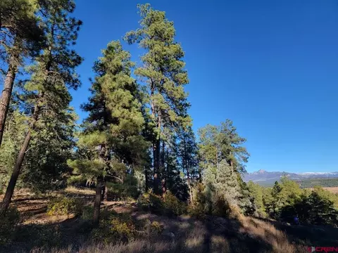 21 Echo Lake Access Easement, Pagosa Springs, CO 81147