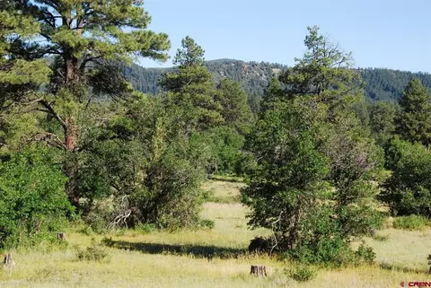 X Us Hwy 84 #116, Pagosa Springs, CO 81147