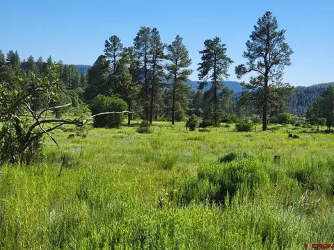 X Catchpole Drive, Pagosa Springs, CO 81147