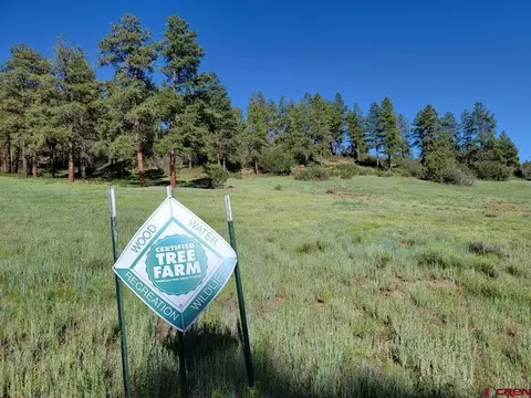X Catchpole Drive, Pagosa Springs, CO 81147
