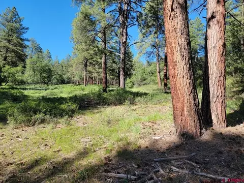 X Catchpole Drive, Pagosa Springs, CO 81147
