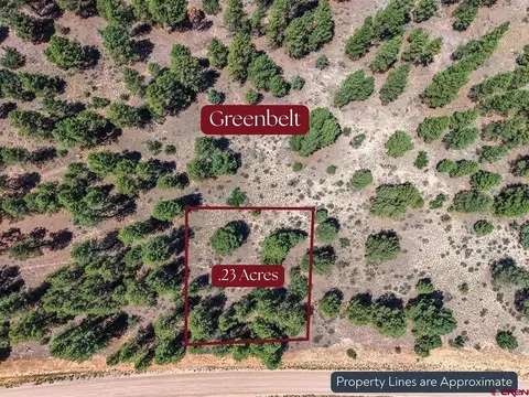 1445 Trails Blvd, Pagosa Springs, CO 81147