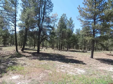 1445 Trails Blvd, Pagosa Springs, CO 81147