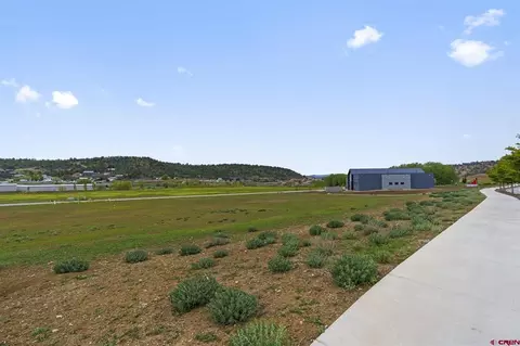350 Wilson Gulch Dr, Durango, CO 81301 photo 17