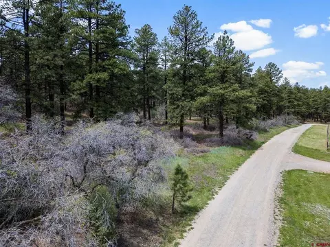 135 Meadow Ln, Bayfield, CO 81122