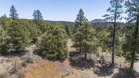 275 Logging Trail Rd, Durango, CO 81303