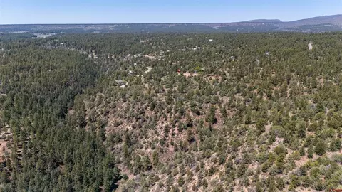 275 Logging Trail Rd, Durango, CO 81303 photo 3