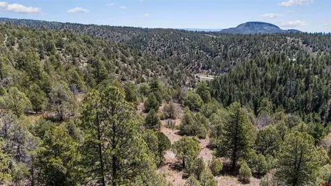 275 Logging Trail Rd, Durango, CO 81303 photo 4
