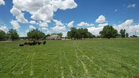 tbd Road M, Dolores, CO 81323