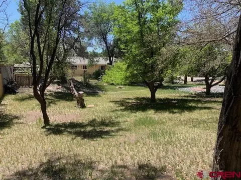 Exterior - 570 SW 2nd Ct, Cedaredge, CO 81413 photo 7 of 9