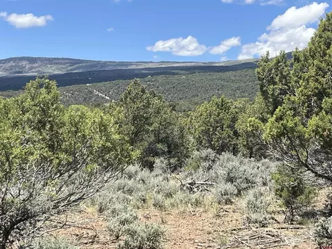 tbd Green Valley Rd, Cedaredge, CO 81413 photo 3