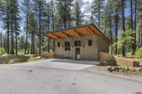 47 Needle Creek Ct, Durango, CO 81301 photo 16