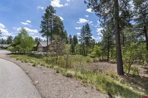 47 Needle Creek Ct, Durango, CO 81301 photo 4