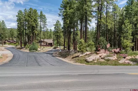 47 Needle Creek Ct, Durango, CO 81301 photo 14