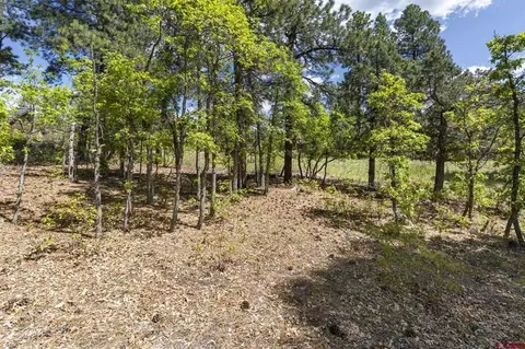 47 Needle Creek Ct, Durango, CO 81301 photo 8