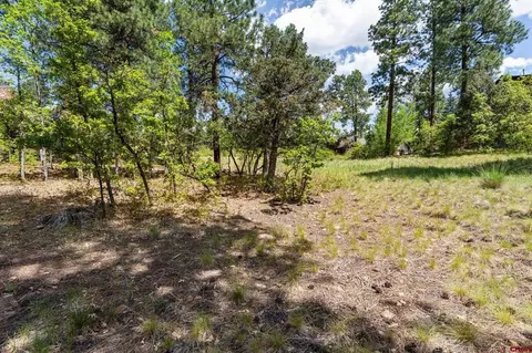 47 Needle Creek Ct, Durango, CO 81301 photo 9