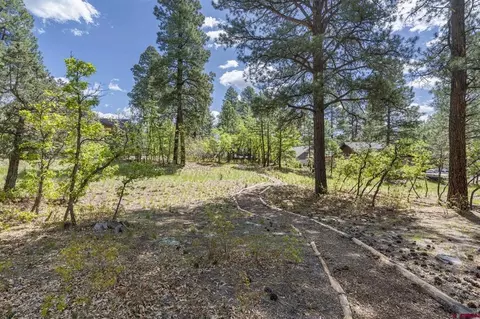 47 Needle Creek Ct, Durango, CO 81301 photo 10