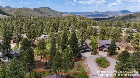 47 Needle Creek Ct, Durango, CO 81301 photo 2