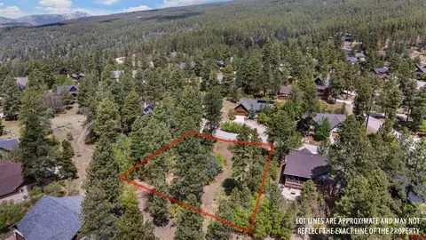 47 Needle Creek Ct, Durango, CO 81301 photo 11