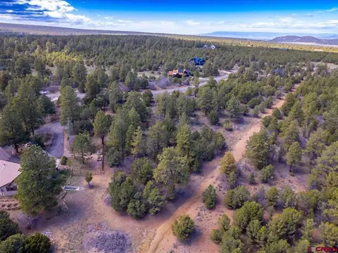 tbd Lot 556 Badger Trl N, Ridgway, CO 81432