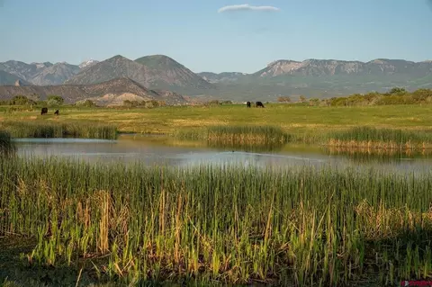 4369 Cattle Dr, Crawford, CO 81415