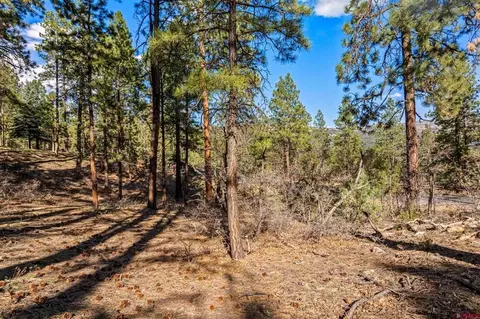 47 Ambush Cyn, Durango, CO 81301 photo 15