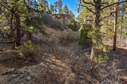 47 Ambush Cyn, Durango, CO 81301 photo 13