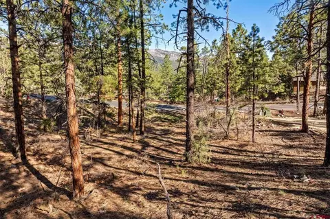 47 Ambush Cyn, Durango, CO 81301 photo 9