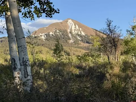 lot F Top Of The World Dr, Placerville, CO 81430