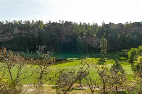 View/Area - 314 N Tamarron Dr #232, Durango, CO 81301 photo 1 of 2