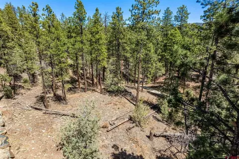 91 Ambush Cyn, Durango, CO 81301 photo 15
