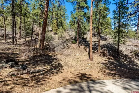91 Ambush Cyn, Durango, CO 81301 photo 20