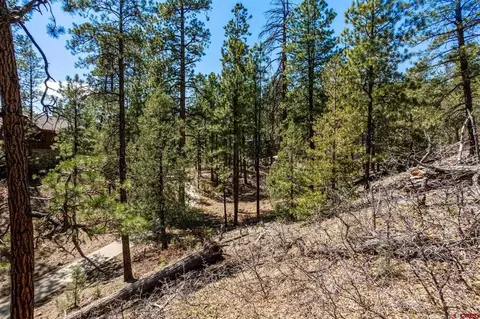 91 Ambush Cyn, Durango, CO 81301 photo 19
