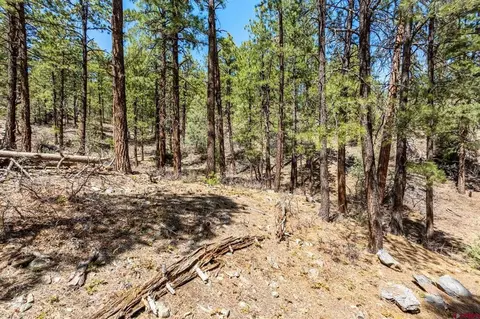 91 Ambush Cyn, Durango, CO 81301 photo 21