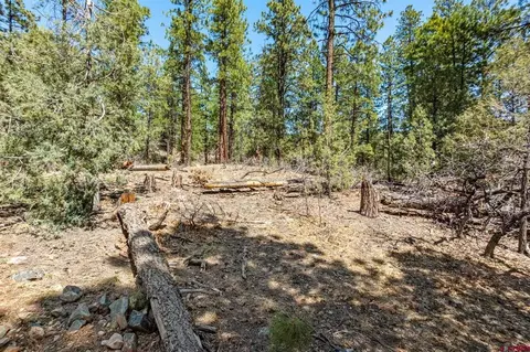 91 Ambush Cyn, Durango, CO 81301 photo 23