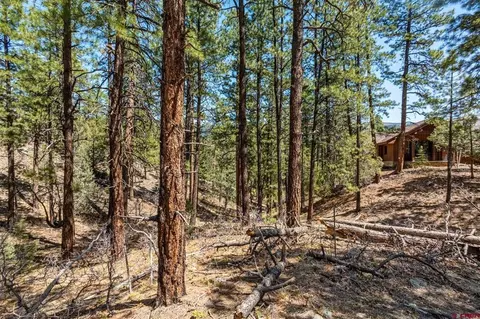 91 Ambush Cyn, Durango, CO 81301 photo 22