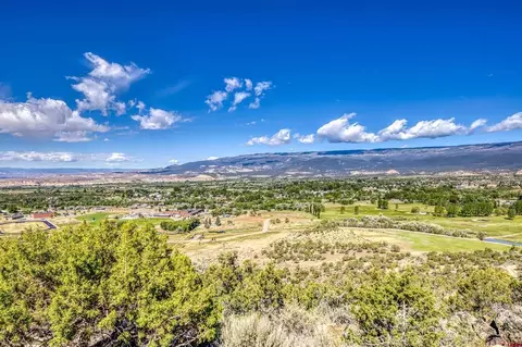 View/Area - 24239 Valley View Cir, Cedaredge, CO 81413 photo 3 of 3
