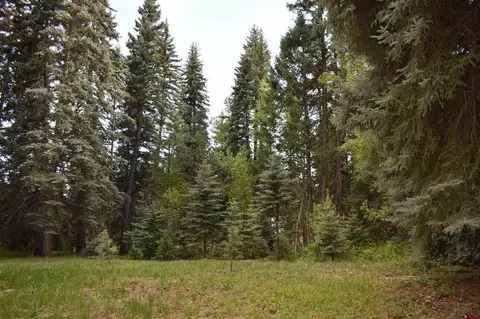 174 Trust Dr, Vallecito Lakebayfield, CO 81122