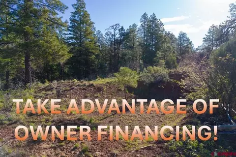157 Careys Ct, Pagosa Springs, CO 81147
