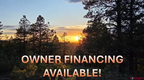 157 Careys Ct, Pagosa Springs, CO 81147