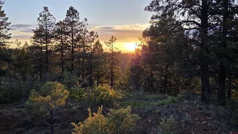 157 Careys Ct, Pagosa Springs, CO 81147