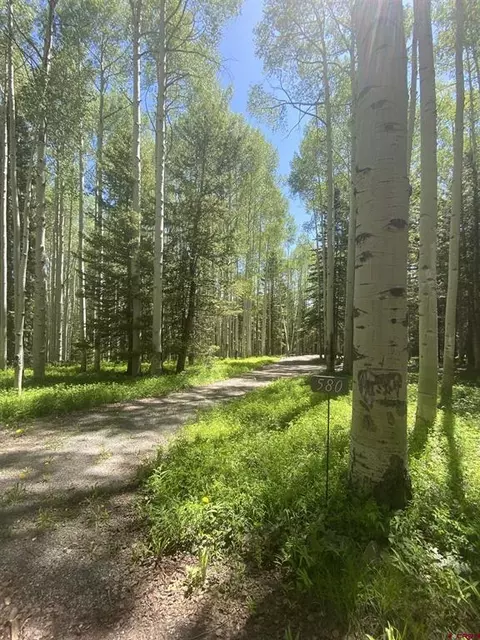 580 Columbine Dr, Cimarron, CO 81220