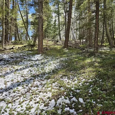 581 Crest Dr, Cimarron, CO 81220 photo 11